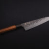 Tetsu Hammered Carbon Kiritsuke